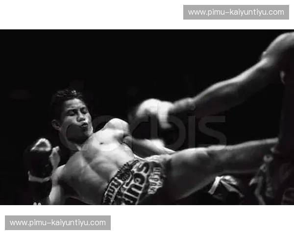 绝代双骄的终极假想:死神方便与大白鲨白近斌,谁才是中国80公斤级的至高神? 绝代双骄的终极假想:死神方便与大白鲨白近斌,谁才是中国80公斤级的至高神?